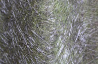 Digg fibreglass roof work